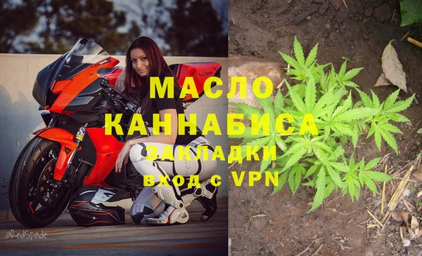 МДПВ Михайлов
