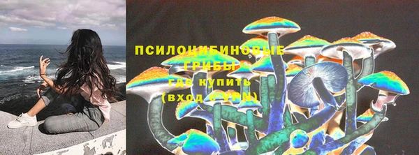 бошки Михайловка