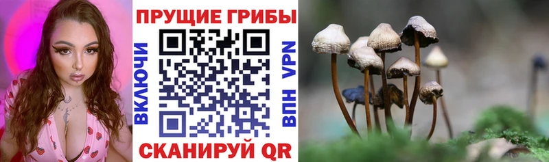 Псилоцибиновые грибы мухоморы  kraken маркетплейс  Княгинино 